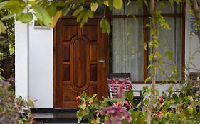 Freedom Home Stay